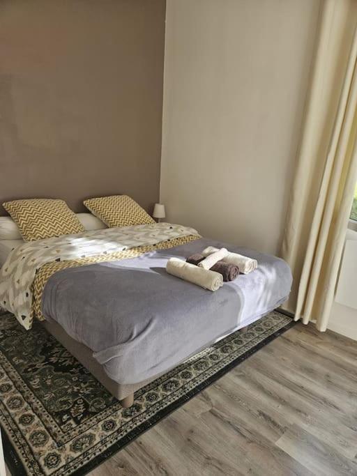 Beautiful F2 Apartment 5 Stops By Train From Paris Море-сюр-Лоан Екстериор снимка