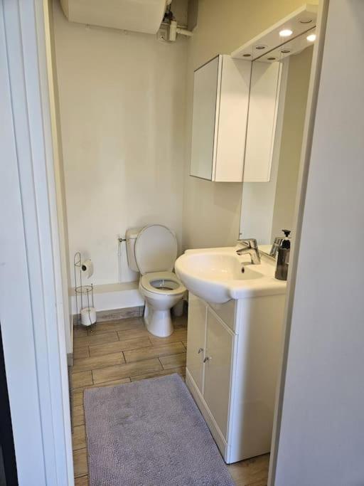 Beautiful F2 Apartment 5 Stops By Train From Paris Море-сюр-Лоан Екстериор снимка
